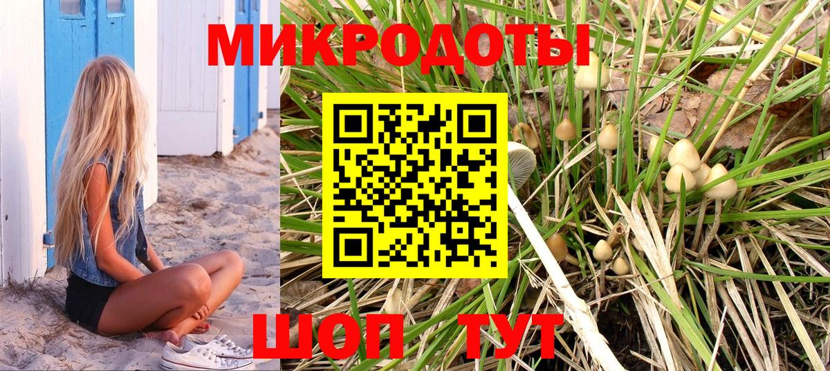 Галлюциногенные грибы прущие грибы Дятьково