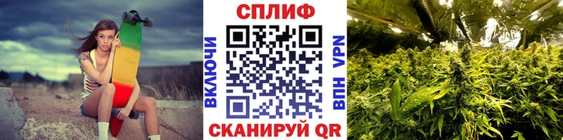 цены   OMG ССЫЛКА  Бошки марихуана сатива  Дятьково 