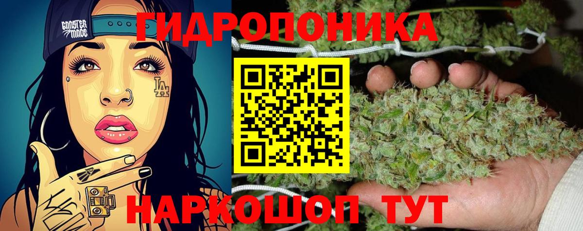 Бошки Шишки MAZAR Дятьково